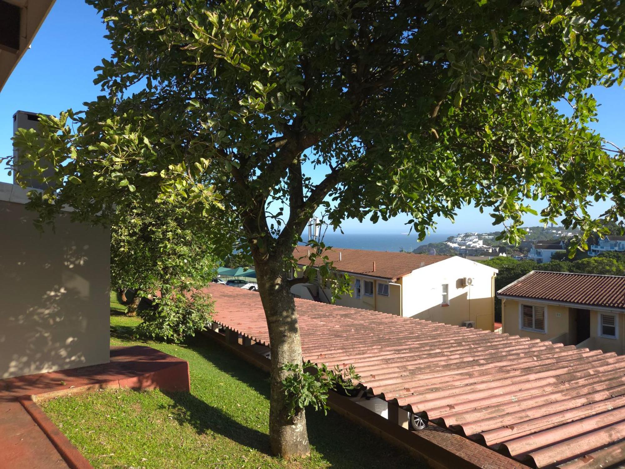 Chakas Rock 28 - Newly Renovated, Ground Floor Unit